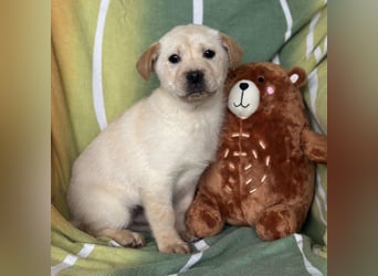 Timmy ein kleiner Sonnenschein