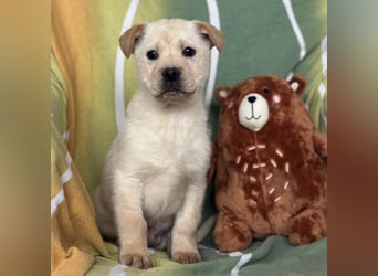 Timmy ein kleiner Sonnenschein