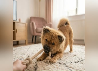 Naya: Eine verletzte Seele möchte heilen