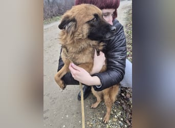 Ryu ein absoluter Engelchen