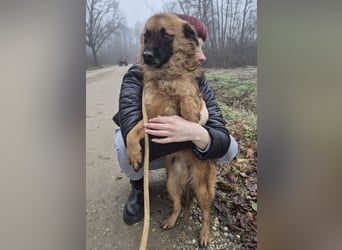 Ryu ein absoluter Engelchen