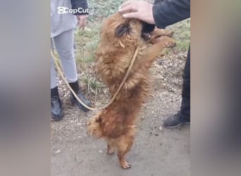 Ryu ein absoluter Engelchen