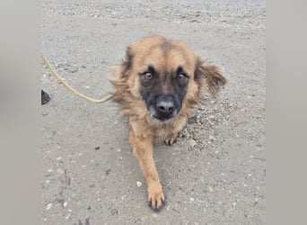 Ryu ein absoluter Engelchen