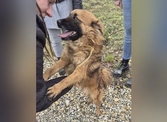 Ryu ein absoluter Engelchen