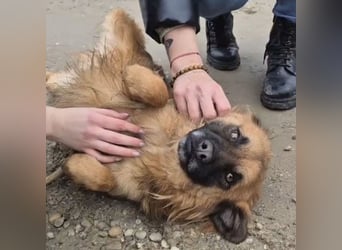 Ryu ein absoluter Engelchen