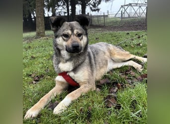 Tika - absolut wundervoll