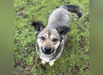 Tika - absolut wundervoll