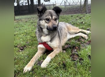 Tika - absolut wundervoll