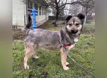 Tika - absolut wundervoll