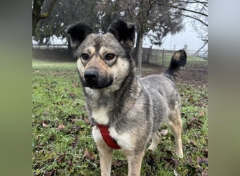 Tika - absolut wundervoll