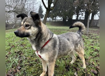 Tika - absolut wundervoll