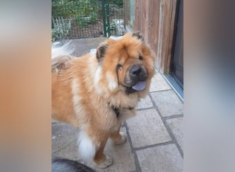 Mayka auf PS in Laer