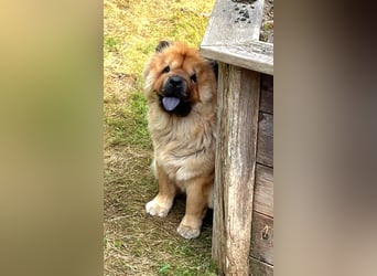 Mayka auf PS in Laer