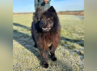 Teddy - ist ein Gartenfan