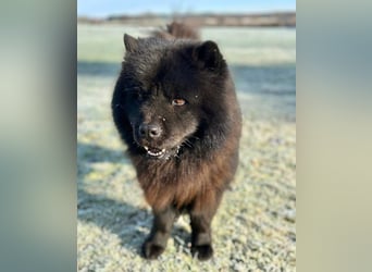 Teddy - ist ein Gartenfan