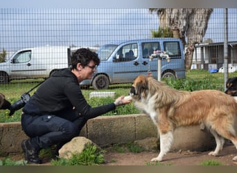 liebste Candy wünscht sich ihr Zuhause für immer