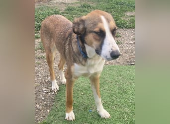 Ketty wünscht sich ihr eigenes Zuhause