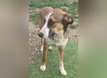 KETTY wünscht sich ihr eigenes Zuhause