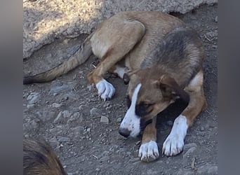 Ketty sucht ihr eigenes Körbchen