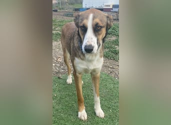 KETTY wünscht sich ihr eigenes Zuhause