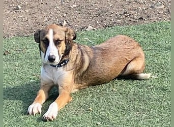 KETTY wünscht sich ihr eigenes Zuhause