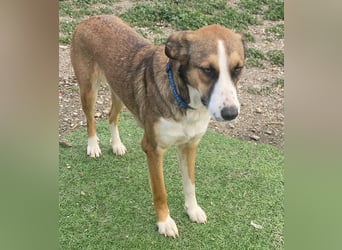 KETTY wünscht sich ihr eigenes Zuhause