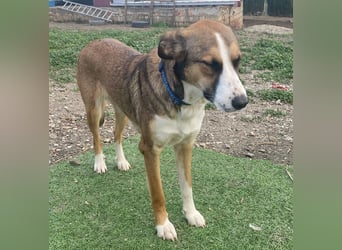 Ketty wünscht sich ihr eigenes Zuhause