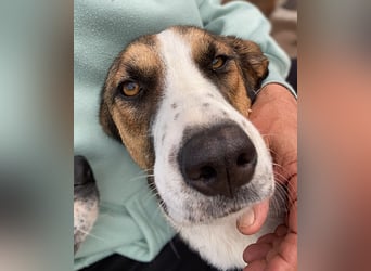 Ketty wünscht sich ihr eigenes Zuhause