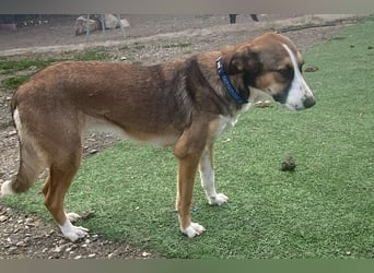 Ketty wünscht sich ihr eigenes Zuhause