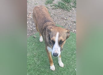 Ketty wünscht sich ihr eigenes Zuhause