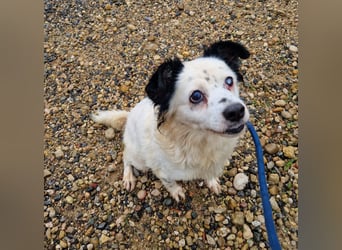 Seniorin MARIELENA - NOTFALL