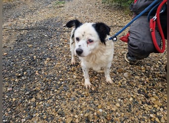 Seniorin MARIELENA - NOTFALL