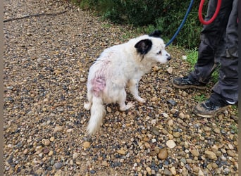 Seniorin MARIELENA - NOTFALL