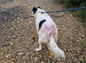 Seniorin MARIELENA - NOTFALL