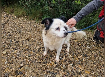 Seniorin MARIELENA - NOTFALL