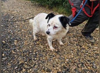 Seniorin MARIELENA - NOTFALL