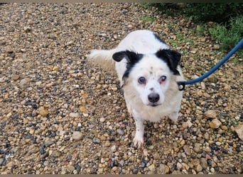 Seniorin MARIELENA - NOTFALL