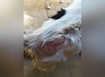 Seniorin MARIELENA - NOTFALL