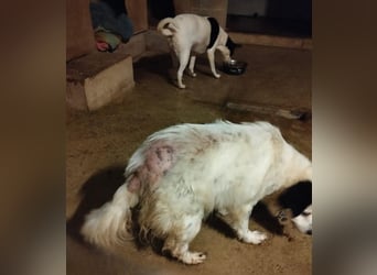 Seniorin MARIELENA - NOTFALL