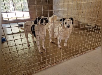 Seniorin MARIELENA - NOTFALL