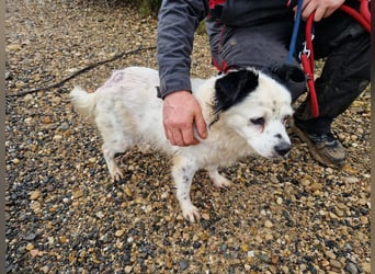 Seniorin MARIELENA - NOTFALL