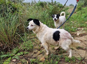 Seniorin MARIELENA - NOTFALL