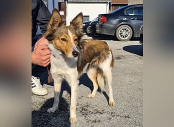 Uma ein agiles Mädchen