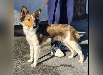 Uma ein agiles Mädchen