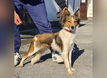 Uma ein agiles Mädchen