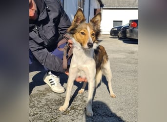 Uma ein agiles Mädchen