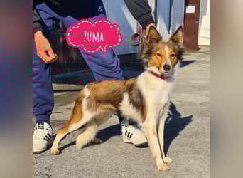 Uma ein agiles Mädchen