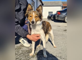 Uma ein agiles Mädchen