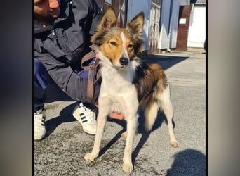 Uma ein agiles Mädchen