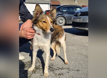 Uma ein agiles Mädchen